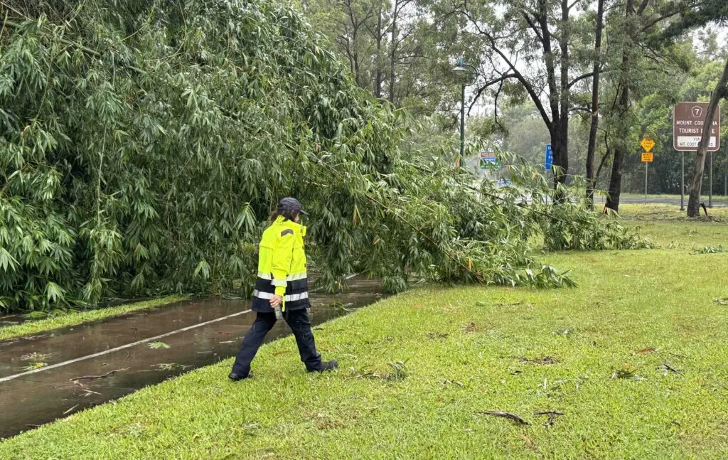 A person in a neon green shirt walks on the grass, approaching a fallen tree